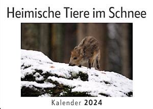 Få Heimische Tiere im Schnee Wandkalender 2024 Kalender DIN A4 quer