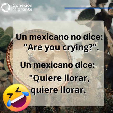 Ríe con los mejores memes de la semana en Conexión Migrante