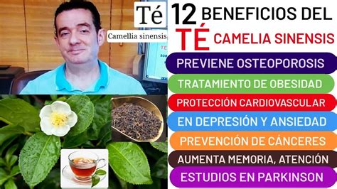 Beneficios Y Propiedades Del T Verde Con Matcha Una Gu A Completa