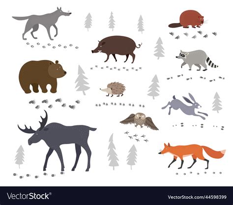 A set of forest animals and their footprints Vector Image