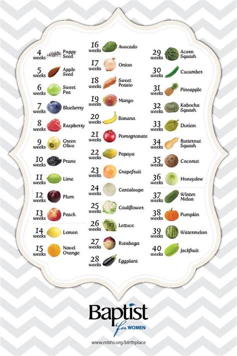 See How Big Your Baby Is Week By Week During Your Pregnancy Compared