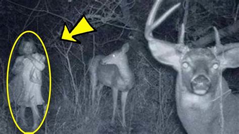 Incredible Photos Captured On Trail Cams Youtube