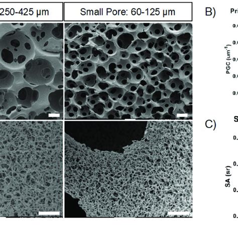 Nanofibrous Macroporous Tissue Engineering Scaffolds Visualized By Download Scientific Diagram