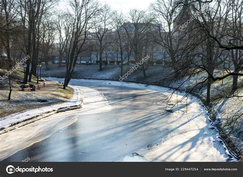 Naked Tree Branches Late Autumn Leaves River Stock Photo By Martinsvanags 229447254