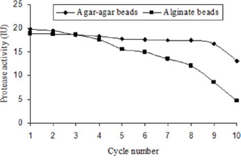 Immobilization of Bacillus circulans MTCC 7906 for enhanced production ...