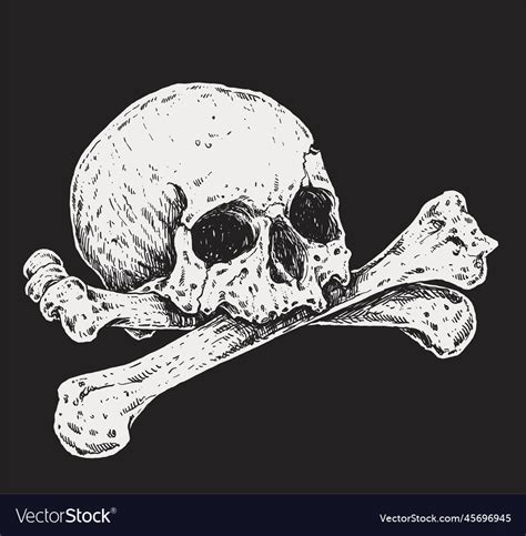 Skull And Crossbones Realistic Drawing Royalty Free Vector