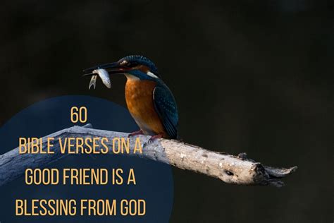 60 Best Bible Verses On A Good Friend Is A Blessing From God Bible