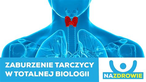 Z041 Na zdrowie Zaburzenie tarczycy w ujęciu Totalnej Biologii YouTube