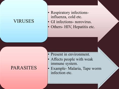 Chain of Infection | PPT