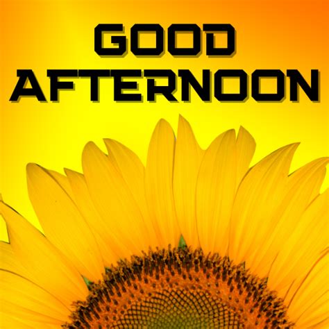 Good Afternoon Images 2024 - Apps on Google Play