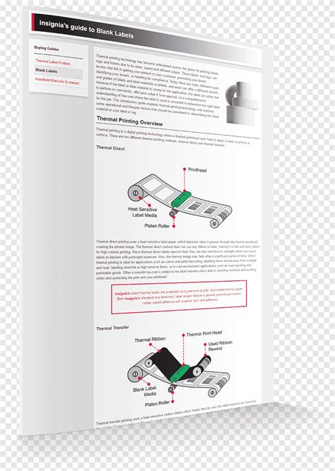 Brand Brochure Design Text Brochure Png PNGEgg