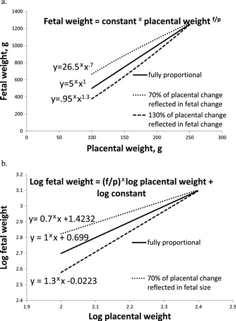 Possible Allometric Relationships Between Fetal Weight And Placental