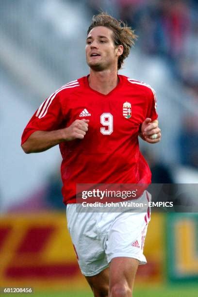 38 Miklos Feher Photos & High Res Pictures - Getty Images