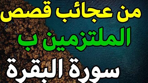 من عجائب قصص الملتزمين ب سورة البقرة Youtube