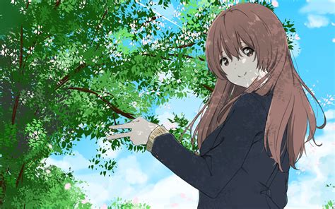 Anime Koe No Katachi Shouko Nishimiya Wallpaper Anime Keren