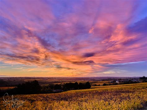 Le Vignoble Du Layon Stephane Moreau Photographe Chalonnes Sur Loire