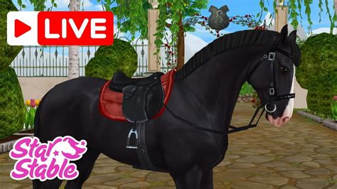 Live Selle Fran Ais Leveln Und Springreiten Youtube