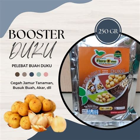 Jual Pupuk Pelebat Dan Booster Buah Duku Agar Cepat Berbuah Boster