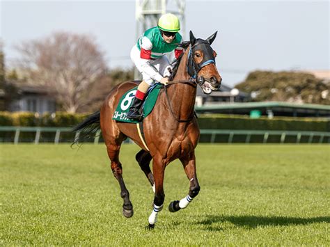 【凱旋門賞】スルーセブンシーズの調教状況 26日は坂路を2本 競馬ニュース Netkeiba