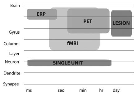 3. Temporal and spatial resolution of different neuroscience methods ...