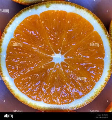 Orange Cut In Half Stock Photo Alamy