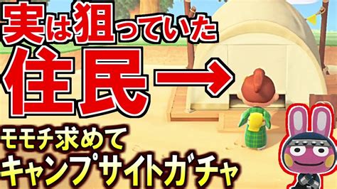 あつ森実はずっと一緒に住みたかった住民が来てしまったもう勧誘しても良いかな？モモチを求めてキャンプサイト住民ガチャあつまれどうぶつの森