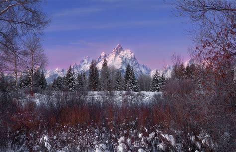 Zima W Parku Narodowym Grand Teton W Wyoming