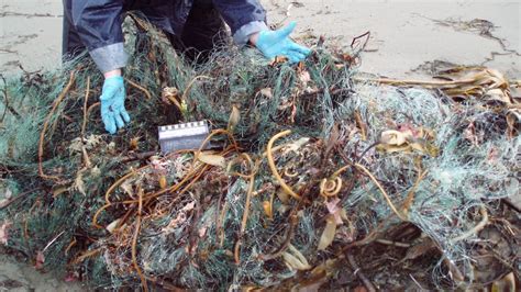 Marine Debris Prevention | Olympic Coast National Marine Sanctuary