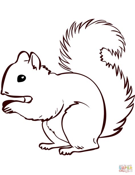 Pictures Of Squirrels Printables