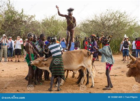 A Young Man From The Hamar Tribe Taking Part In The Bull Jumping Coming