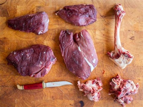 How To Dry Age Venison At Home Forager Chef