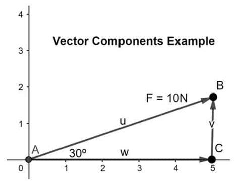 Vector Components (Everything You Need to Know)