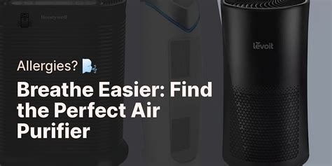 Air Purifiers And Allergies How To Choose The Right Device To