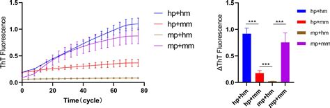 Frontiers Quiescent Elongation Of α Synuclein Pre Form Fibrils Under