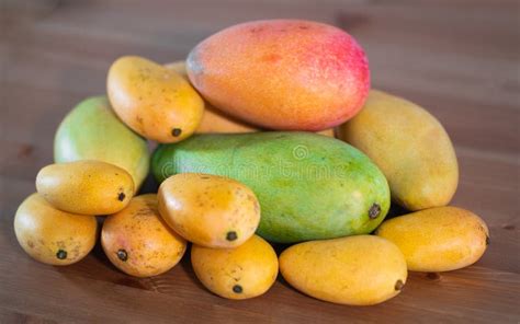 Stack Of Several Varieties Of Mangos Of Different Size And Colors Stock