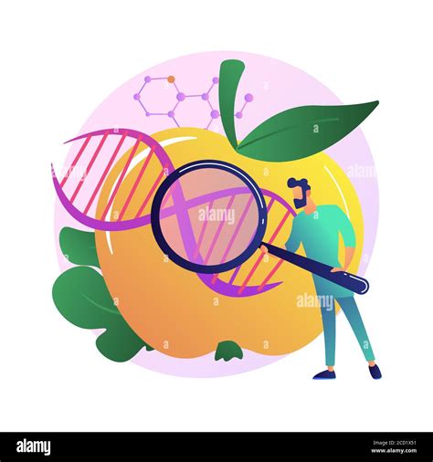 Genetically Modified Foods Abstract Concept Vector Illustration Stock