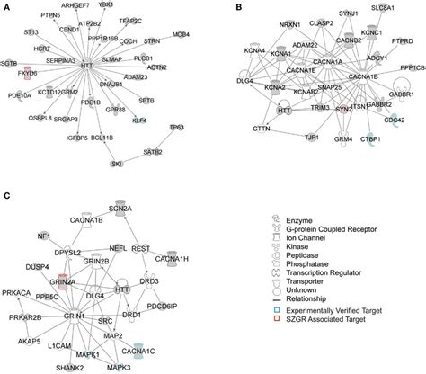 Top 3 Scoring Ipa Network Analysis Generated Networks For The 929 Download Scientific Diagram