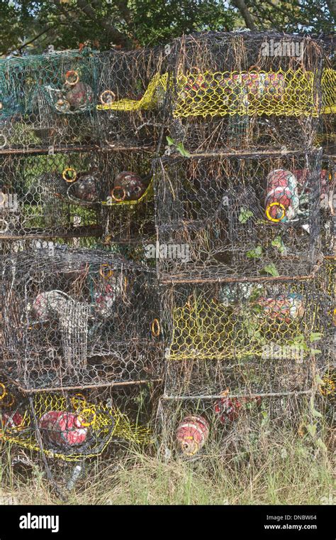 Wire Lobster Traps Hi Res Stock Photography And Images Alamy