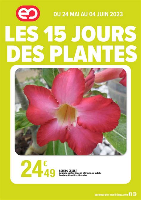 Les Promos Euromarché du 24 mai au 4 juin 2023 Les 15 jours des plantes