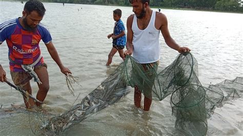 তেতুলিয়া নদীর চরের উপরে চায়না নেট জাল দিয়ে মাছ ধরার ফাদ River