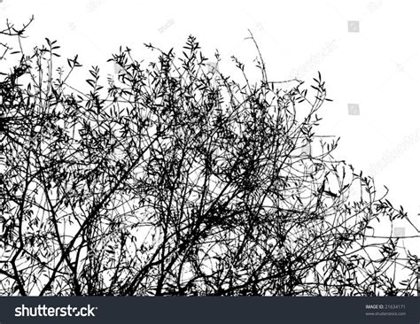 Bush Vector Illustration - 21634171 : Shutterstock