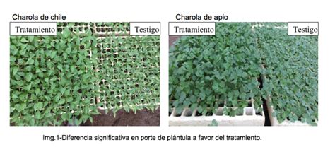 Prueba Técnica Innovación agrícola