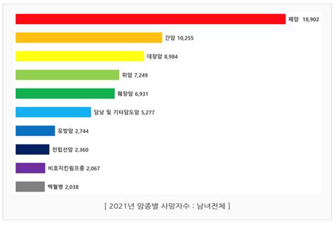 건강 칼럼 이문주 교수 한국인 암사망율 2위 간암 Liver Cancer 간염 Hepatitis 바이러스 검진의