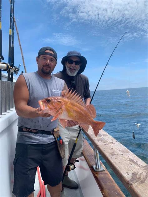 Coral Sea Shallow Water Rockfish Today