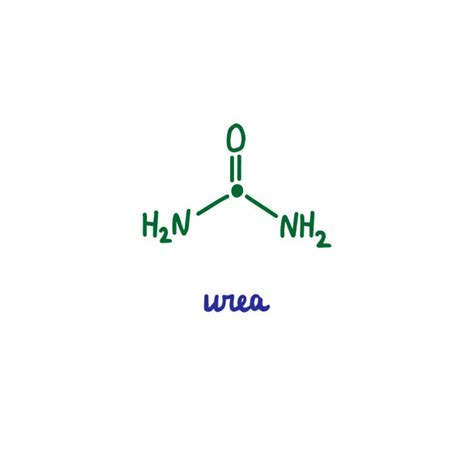 009 Amines And Amides