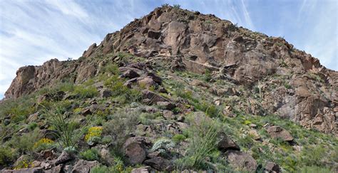 Cliffs Below The Summit Pinkley Peak Organ Pipe Cactus National