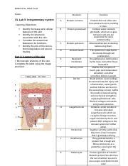 Final Labs Bios Online Labs Week Integumentary System Lab Docx