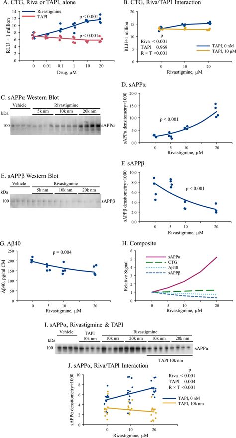 Effects of Rivastigmine and TAPI treatments on cell viability, Aβ40 ...