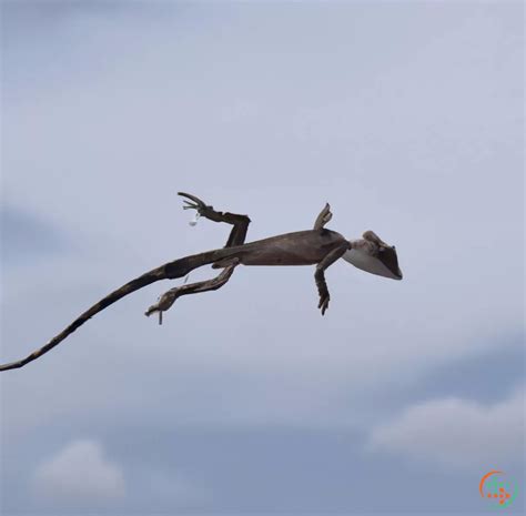 Lizard-like Creature Flying | Artificial Design