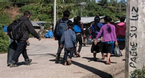 Hombres armados balean a víctimas de desplazamiento forzado en Chenalhó